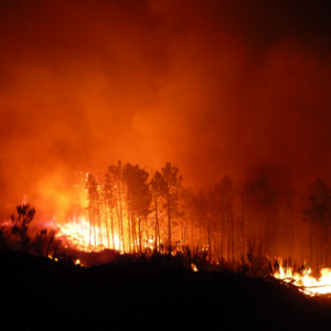 EU project MiSRaR: mitigation of spatial relevant risks