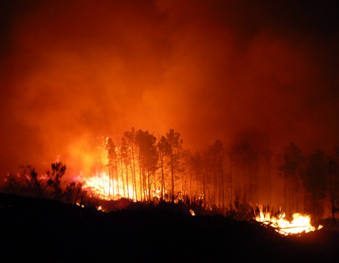 EU MiSRaR project: mitigation of spatial relevant risks