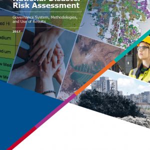 Sendai Guideline for National Disaster Risk Assessment